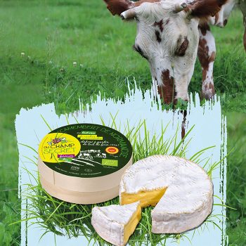 The Organic Camembert de Normandie AOP Champ Secret