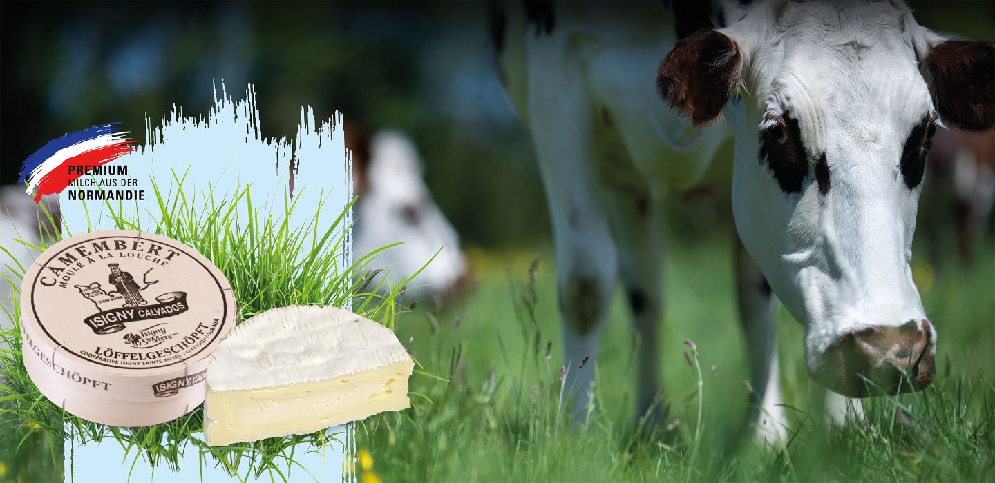 Camembert-Isigny-calvados