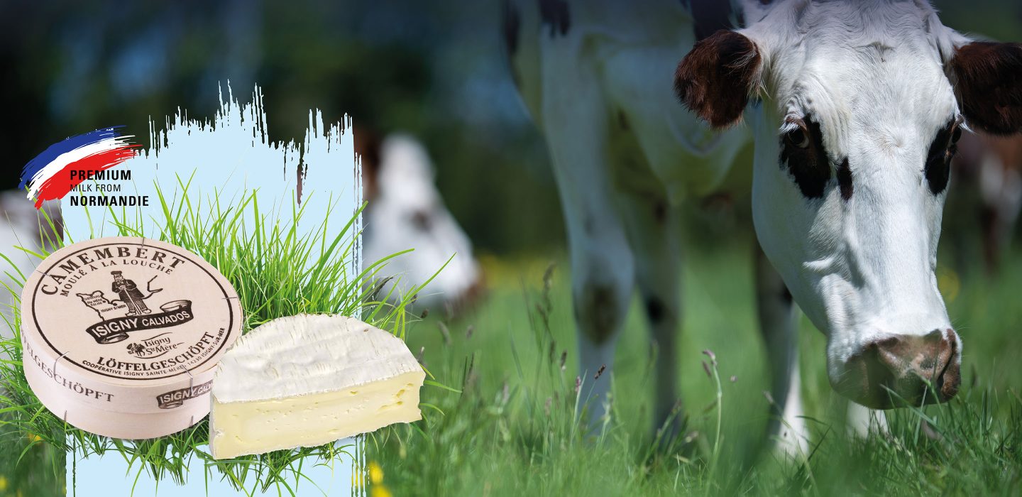 Camembert-Isigny-calvados-ang